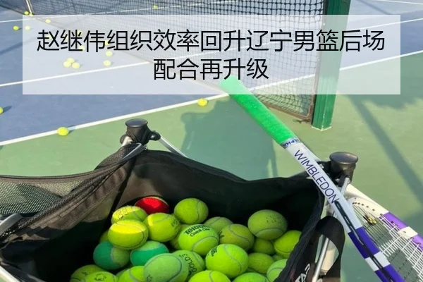 赵继伟组织效率回升辽宁男篮后场配合再升级